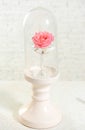 Beautiful glass with pink rose