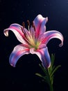 beautiful Lilly flower generative AI Royalty Free Stock Photo