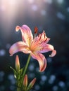 beautiful Lilly flower generative AI Royalty Free Stock Photo