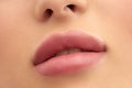 Close-up of Beautiful lips. Part of the face, the young woman is close. Sexy plump lips. close up. Royalty Free Stock Photo