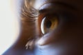 Close-up of beautiful little girl brown eye