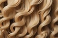 Close-up of beautiful long wavy hairs. Strands of Beautiful long curly hairs. Beauty, Fashion, Hairdresser salon concept. Perfect