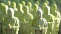 Close up of beautiful many monk stone statue with moss and sun