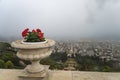 Close up of beautiful marble flowerpot with red flowers set on terrace shot from height at the background of city centre with Royalty Free Stock Photo