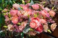 Close-up of beautiful multi-colored bouquet of mixed roses and other flowers in a shop. Fresh cut flowers