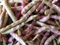 Close-up of Beautiful Organic Variegated Beans at Farmer`s Market
