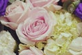 Close up beautiful Pink rose and hydrangea flower bouquet Royalty Free Stock Photo