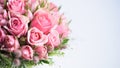 Close-up beautiful pink roses white background,copy space,selective focus.Concept for wedding banner,greeting card.Place for Royalty Free Stock Photo