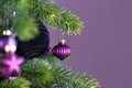 Close up of beautiful purple riffled glass tree bauble on decorated Christmas tree with other seasonal tree ornaments