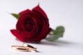 Close-up of a beautiful romantic red Rose with two wedding gold rings Royalty Free Stock Photo