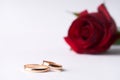 Close-up of a beautiful romantic red Rose with two wedding gold rings Royalty Free Stock Photo