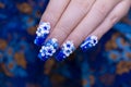 Close up beautiful shiny dark blue glitter gel nail art ombre design painting 3D white cute flower Royalty Free Stock Photo