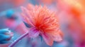 Close-up of a beautiful single flower in soft orange color. Generative AI