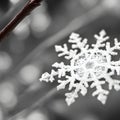 Close up of a beautiful snowflake