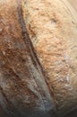 Close-up of beautiful sourdough whole wheat bread