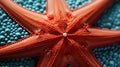 Close Up of Beautiful Starfish Underwater Blurry Seascape Background