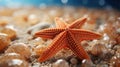 Close Up of Beautiful Starfish Underwater Blurry Seascape Background