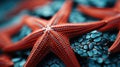 Close Up of Beautiful Starfish Underwater Blurry Seascape Background