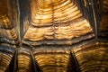 Close up of beautiful texture of turtle carapace, tortoise skin for animal skin, nature abstract background, pattern of turtle Royalty Free Stock Photo