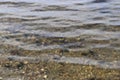 Close up of beautiful water surfaces of a lakes and the baltic sea Royalty Free Stock Photo