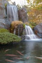 Close up beautiful waterfall in autumn at japan. Royalty Free Stock Photo