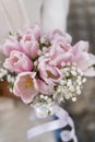 Close-up of a beautiful wedding bouquet of pink white tulips in the hands of the bride Royalty Free Stock Photo