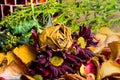 Wilting and Drying Fall Colors Bouquet