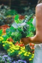 Close up beautiful woman bride in white dress looking forward, holds a wedding bouquet in his hand Royalty Free Stock Photo