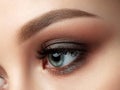 Closeup of beautiful woman eye with fashion makeup Royalty Free Stock Photo