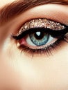 Beautiful woman eye wearing professional glamour makeup Royalty Free Stock Photo