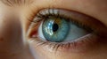 Close up of a beautiful woman's blue eye. Macro shot. Close-up of a girl's eye. Royalty Free Stock Photo