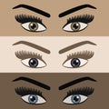 Close up of beautiful women looking pair of eyes with long lashes icons set