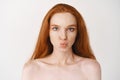 Close-up of beautiful young woman with long ginger hair. Redhead female with pale perfect skin, standing no makeup and