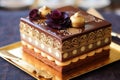 a close-up of a beautifully decorated opera cake