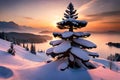 A close-up of beautiful Christmas tree covered with snow Royalty Free Stock Photo