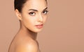 Close-up beauty portrait of young and beautiful Asian woman. Skincare, makeup and cosmetology. Royalty Free Stock Photo