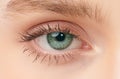 Close up of beauty woman eye on white background, Beautiful green woman eye Royalty Free Stock Photo