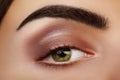 Close-up Beauty of Woman`s eye. smoky Eyes Makeup with brown Eyeshadows. Perfect strong Shape of Eyebrows