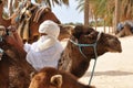 Sahara Desert, Tunisia. Beduin man getting camels ready for a ride across the desert Royalty Free Stock Photo