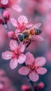 Close-up of a bee on a blooming flower