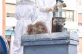 Close-up of a bee smoker over a hive and in the background beekeepers preparing.