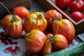 Close up of beef heart tomatoes Royalty Free Stock Photo