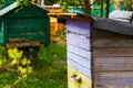 Close up beehive farm boxes for the production of honey. Row of colorful Vintage wooden beehives stay on apiary. Honey healthy