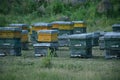 A close-up of beehives