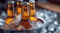 Close up beer bottles in an ice bucket. Cold bottles of beer in bucket with ice on wooden table. Cold bottles of beer in bucket Royalty Free Stock Photo