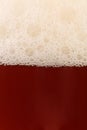 Close up of beer with foam. Royalty Free Stock Photo