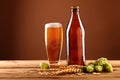 Close up beer glass, bottle, hops and barley