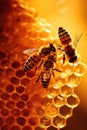 Close up of bees on honeycomb on yellow background created using generative ai technology Royalty Free Stock Photo