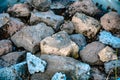 A close-up of Bees water drinking place