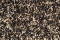 Close-up of beige fluffy carpet texture background, coffee-colored carpet background Royalty Free Stock Photo